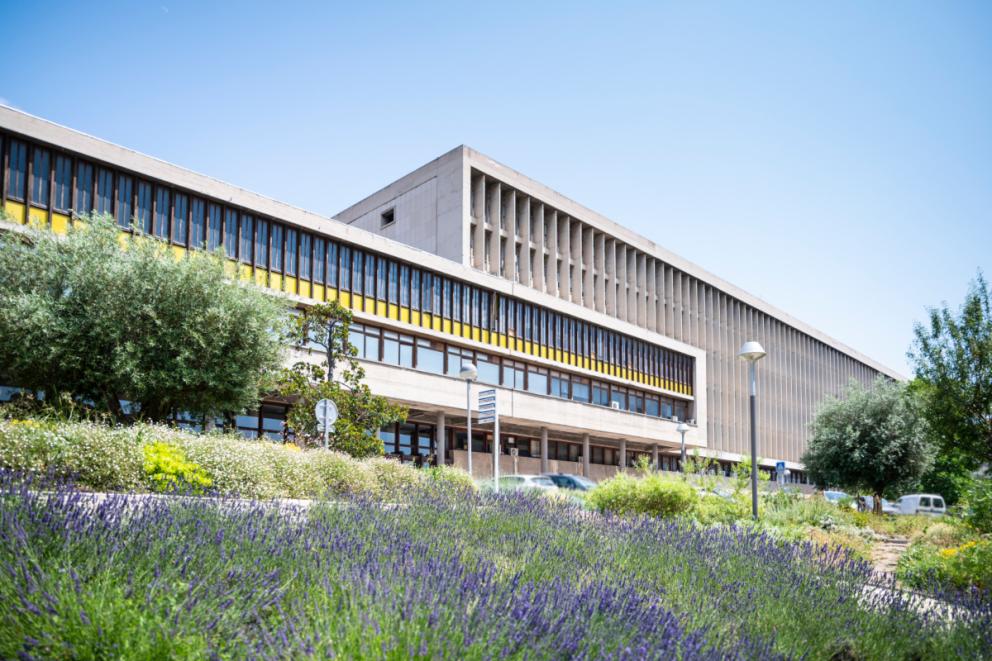 Campus de la Timone, Marseille - Crédit : Elea Ropiot amU